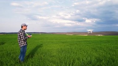 Modern Tarım Teknolojileri. Genç bir buğday tarlasının üzerinde dron uçuran çiftçi. Yüksek kalite 4k görüntü