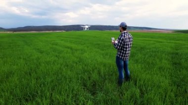 Modern Tarım Teknolojileri. Genç bir buğday tarlasının üzerinde dron uçuran çiftçi. Yüksek kalite 4k görüntü