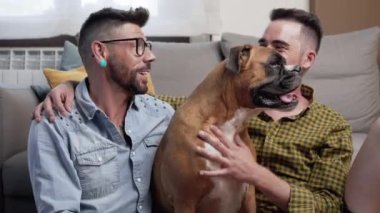 Mutlu eşcinsel çift yerde oturuyor ve evde köpekle oynuyor. Yüksek kalite 4k görüntü