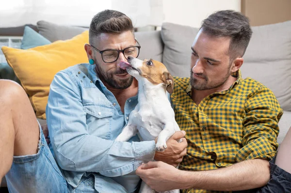 Щаслива Гомосексуальна Пара Сидить Підлозі Грає Собакою Вдома Високоякісна Фотографія — стокове фото