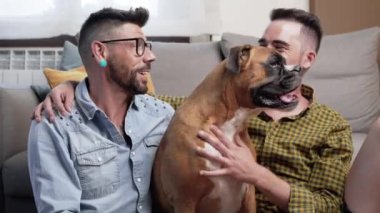 Mutlu eşcinsel çift yerde oturuyor ve evde köpekle oynuyor. Yüksek kaliteli fotoğrafçılık