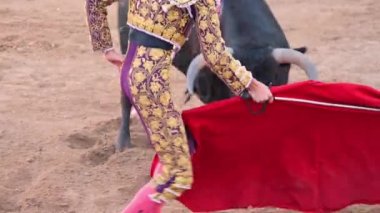 Traditional corrida - bullfighting in spain. High quality 4k footage
