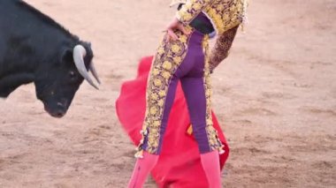 Matador Fighting in a typical Spanish Bullfight. High quality 4k footage.