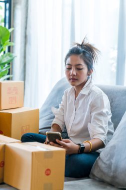 Kanepede oturan güzel Asyalı kadınlar küçük işletmelerle dolu bir sürü paket kutusuyla online alışveriş yapan müşterilere satıyorlar. İnternet üzerinden satış ve alışveriş kavramı