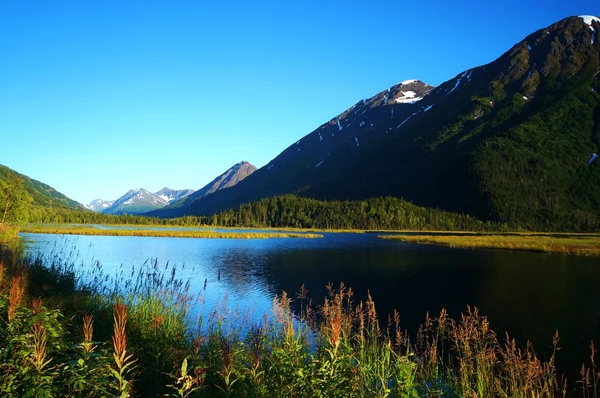 Alaskan sjö med bergskedjan Royaltyfria Stockbilder