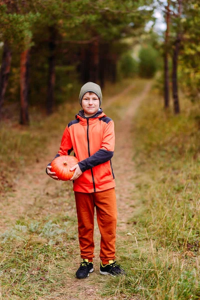 Десятирічний Хлопчик Повному Зростанні Помаранчевий Червоний Гарбуз Відкритому Повітрі Урожай — стокове фото