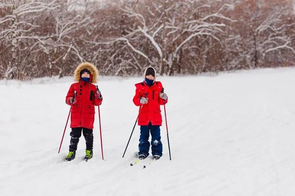 Chicos Van Esquí Fondo Invierno — Foto de Stock