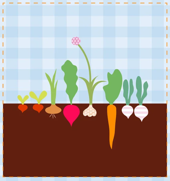Lit de légumes — Image vectorielle