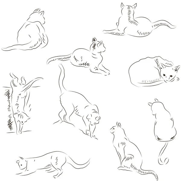 Conjunto de bocetos de gatos — Vector de stock