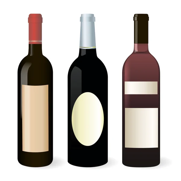 Garrafas de vinho conjunto — Vetor de Stock