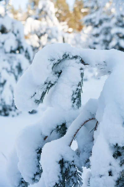 Krajobraz zimowy w Norwegii — Zdjęcie stockowe