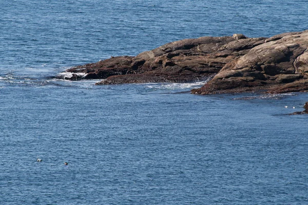 Fotos aus Norwegen — Stockfoto