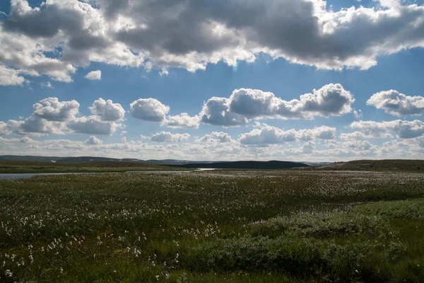 Foto 's uit Noorwegen — Stockfoto