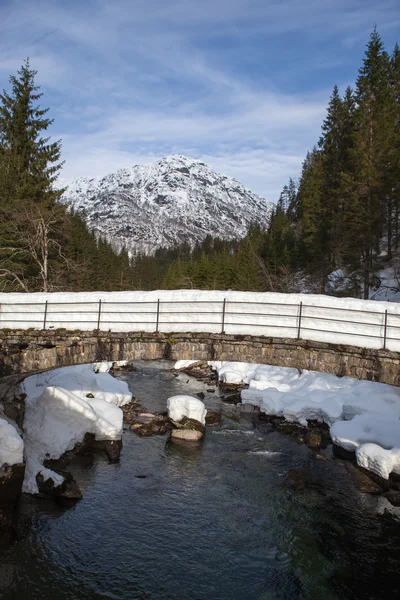 Winterland i Norge – stockfoto