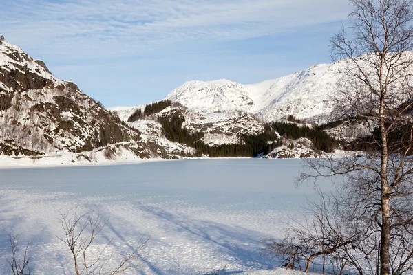 Winterland in Norway — Stock Photo, Image