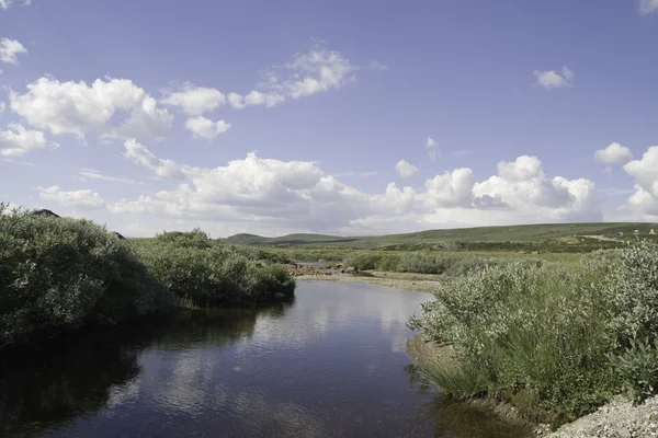 Fiume lento — Foto Stock