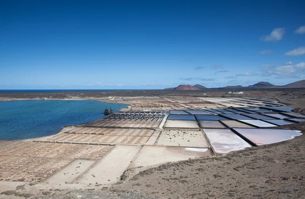 Salinas De Janubio — Stock Photo, Image