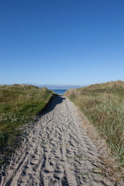 Caminho de areia para a praia ! — Fotografia de Stock