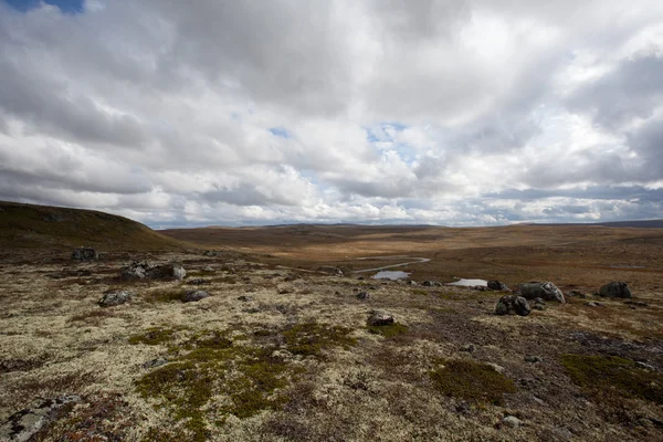 Norveç 'ten fotoğraflar. — Stok fotoğraf