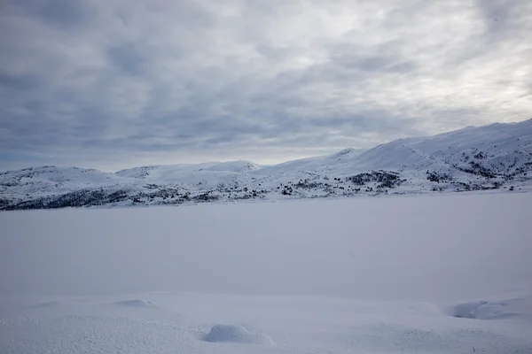 Winterland in Norway — Stock Photo, Image