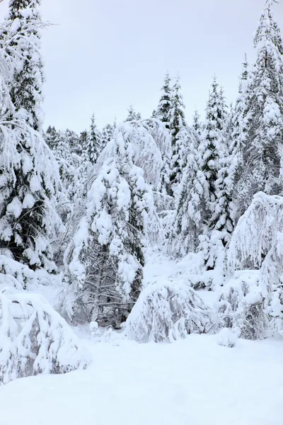 Zima v Norsku — Stock fotografie