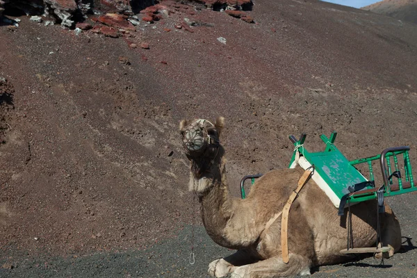 Algum lugar em Lanzarote — Fotografia de Stock