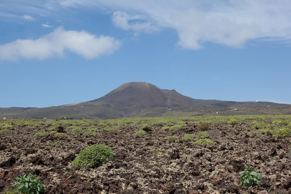 Algún lugar en Lanzarote — Foto de Stock