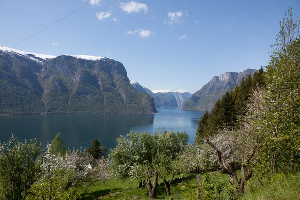 Norveç'te bir yere — Stok fotoğraf