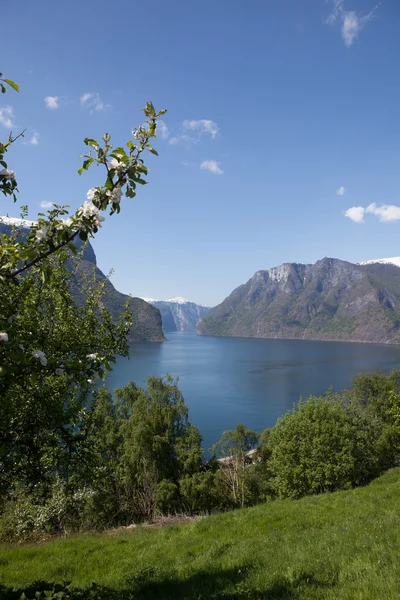 Gdzieś w Norwegii — Zdjęcie stockowe