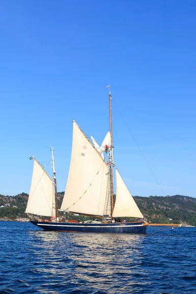 Tall Ship Races Bergen — Stockfoto