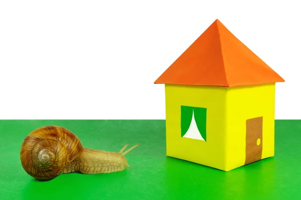 De slak en een papier-huis — Stockfoto