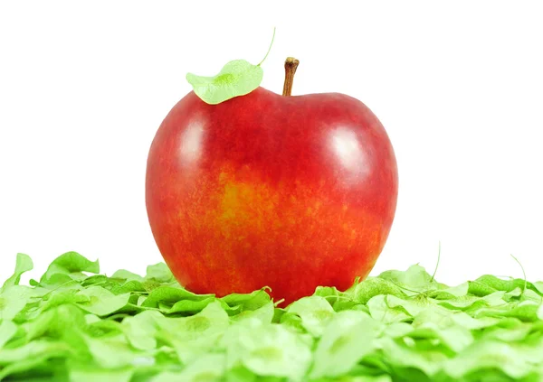 Manzana roja — Foto de Stock