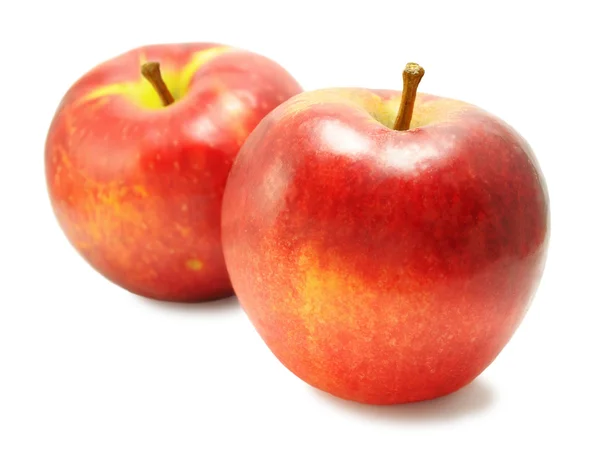 Duas maçãs doces amarelas-vermelhas — Fotografia de Stock