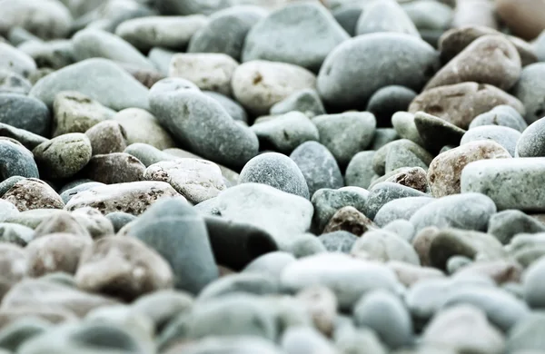 海卵石 — 图库照片