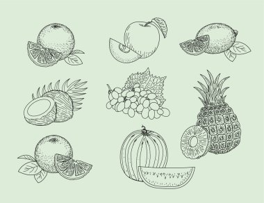 Meyve siyahı sert ana hatları: elma, ananas, portakal, limon, hindistan cevizi, karpuz ve üzüm. Taze, sulu organik yiyecekler. Renklendirme, logo, dükkan tasarımı için iyi.