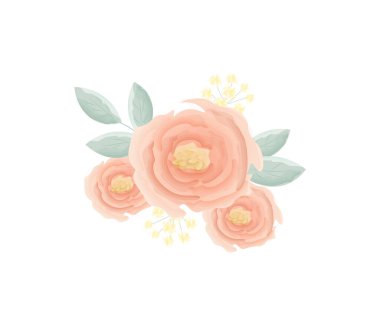 Suluboya gül kalça çiçekleri. Yumuşak pembe renkler. Yapraklı ağaç çiçeği.