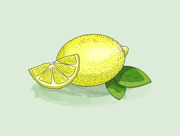 黄色のレモン スライス インク固体アウトラインと葉の水彩 ジューシーで新鮮な果物 — ストックベクタ