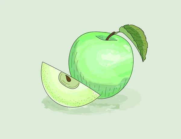 Zelené Jablko Plátek Akvarel Inkoustem Pevný Obrys Šťavnaté Čerstvé Ovoce — Stockový vektor