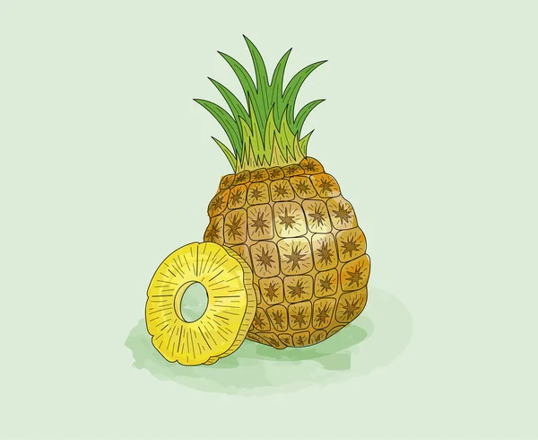 Piña Rebanada Acuarela Con Tinta Contorno Sólido Fruta Jugosa Fresca — Vector de stock