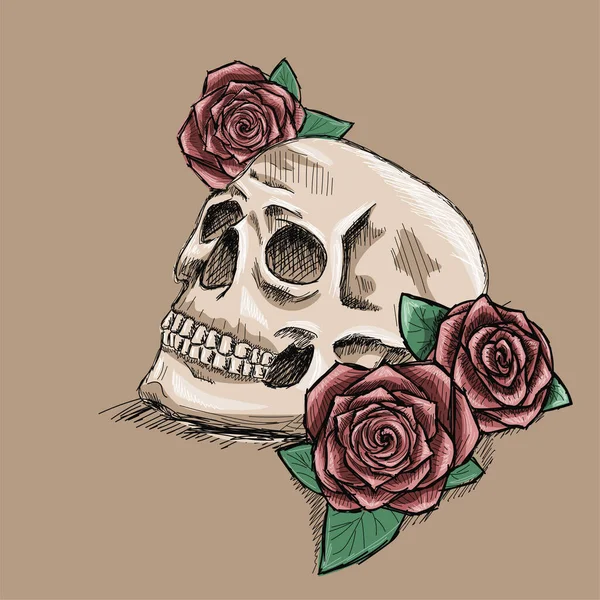 Hand Drawn Skull Red Roses Tattoo Sketch Ink Black Outline — Stock Vector