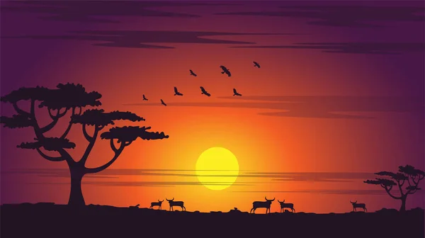 Pôr Sol Africano Nascer Sol Com Árvore Pássaros Silhueta Carneiros — Vetor de Stock