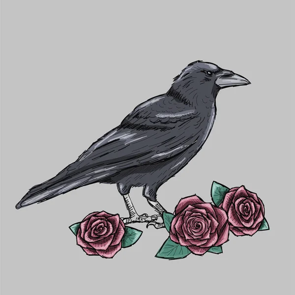 手绘乌鸦与红玫瑰纹身草图 墨水黑色轮廓 白色斑点 哥特式 浪漫的心情 — 图库矢量图片