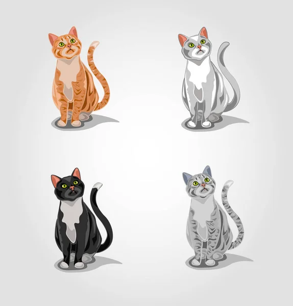 Set Isolated Cats Gray Tabby Cat Red Tabby Cat White — Stock Vector