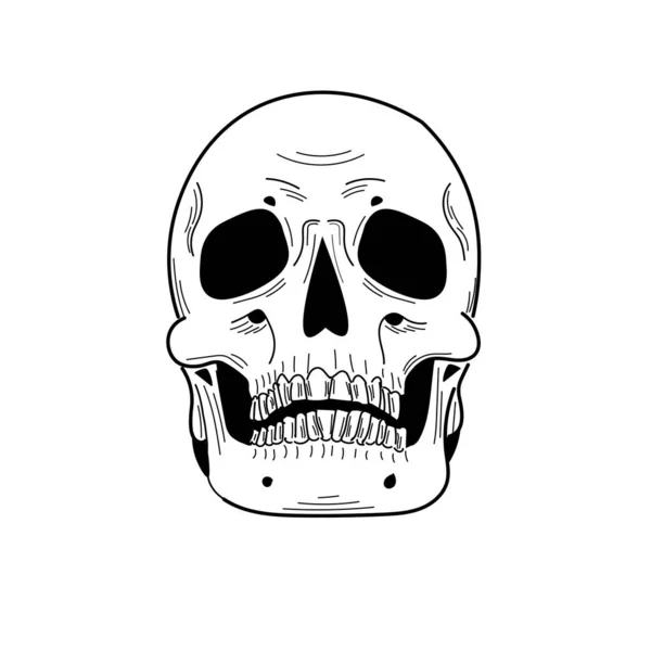 Hand Drawn Black White Skull Flat Cartoon Comics Style Black — Stok Vektör