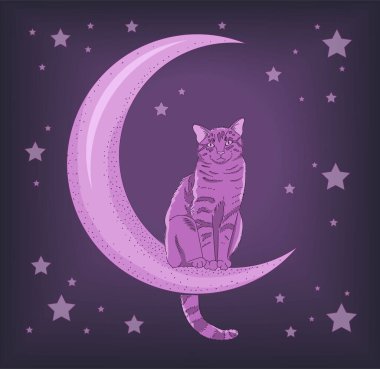 Pink cat sitting on the moon
