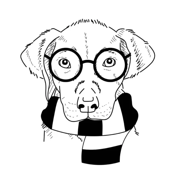 Hand Drawn Puppy Wearing Scarf Glasses — Stock vektor