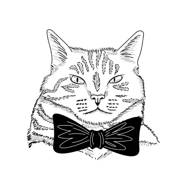 Hand Drawn Cat Wearing Black Bow Tie — 스톡 벡터