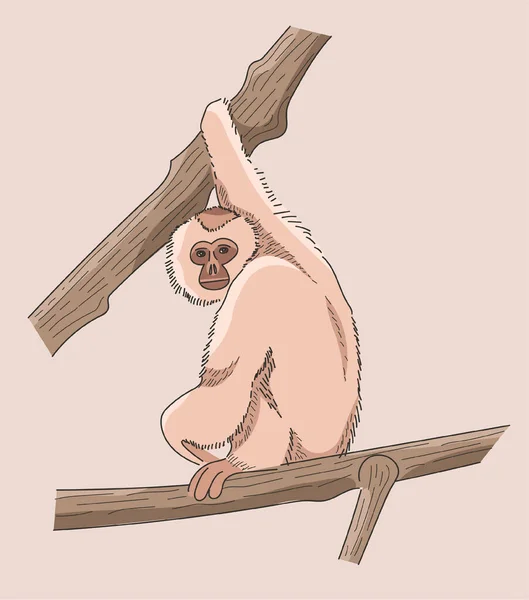 Cute Hand Drawn Monkey Sitting Tree Looking — Stock Vector