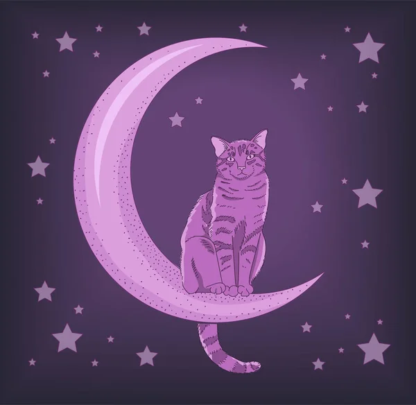 Pink Cat Sitting Moon — 스톡 벡터