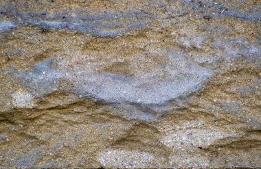 Işık kumtaşı dokusunu kapat. Grafikler için arkaplan yüzeyi